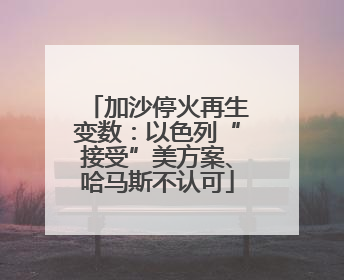 加沙停火再生变数：以色列“接受”美方案、哈马斯不认可