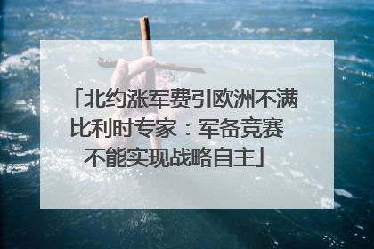 北约涨军费引欧洲不满 比利时专家：军备竞赛不能实现战略自主