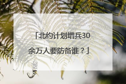 北约计划增兵30余万人要防备谁？