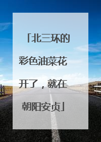 北三环的彩色油菜花开了，就在朝阳安贞