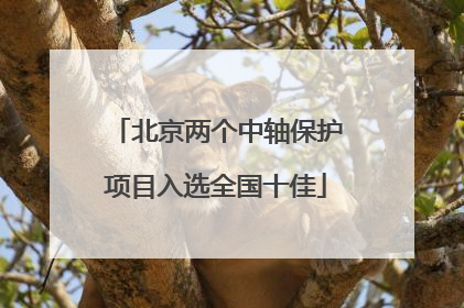 北京两个中轴保护项目入选全国十佳