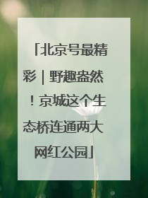 北京号最精彩｜野趣盎然！京城这个生态桥连通两大网红公园