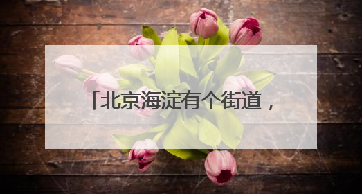 北京海淀有个街道，汇聚齐了56个民族！今天有场大聚会