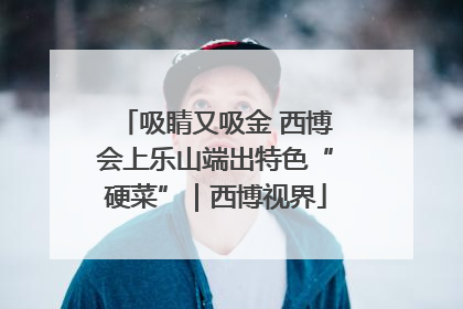 吸睛又吸金 西博会上乐山端出特色“硬菜”｜西博视界