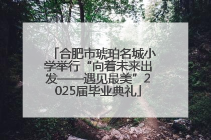 合肥市琥珀名城小学举行“向着未来出发——遇见最美”2025届毕业典礼