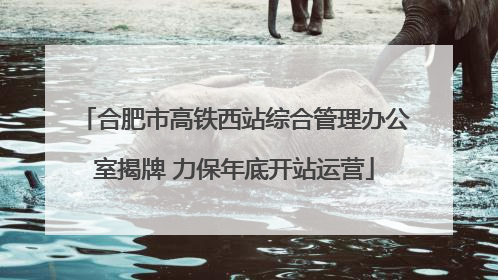 合肥市高铁西站综合管理办公室揭牌 力保年底开站运营