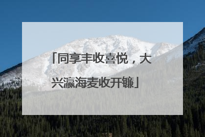 同享丰收喜悦，大兴瀛海麦收开镰