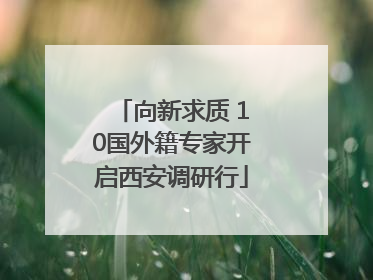 向新求质 10国外籍专家开启西安调研行