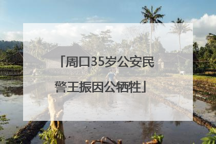 周口35岁公安民警王振因公牺牲