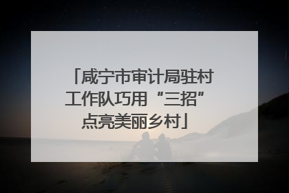 咸宁市审计局驻村工作队巧用“三招”点亮美丽乡村