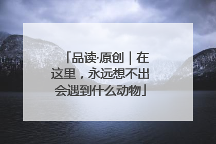 品读·原创｜在这里，永远想不出会遇到什么动物