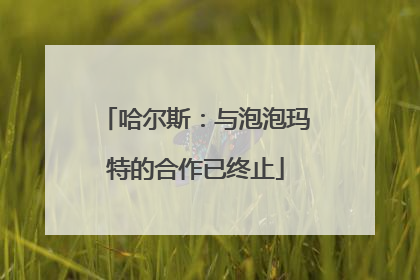 哈尔斯：与泡泡玛特的合作已终止