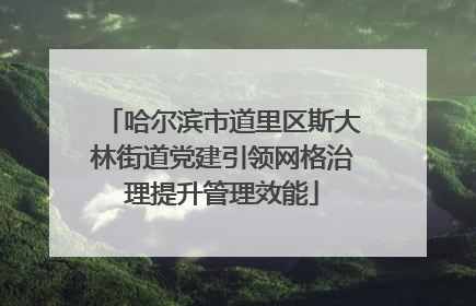 哈尔滨市道里区斯大林街道党建引领网格治理提升管理效能