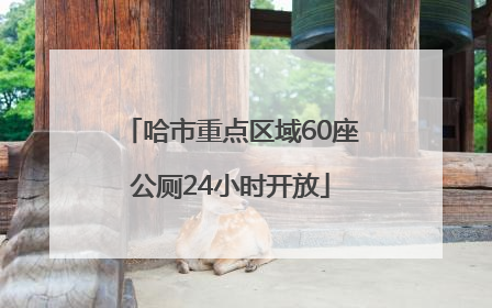 哈市重点区域60座公厕24小时开放