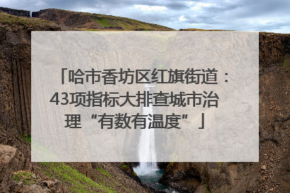 哈市香坊区红旗街道：43项指标大排查城市治理“有数有温度”