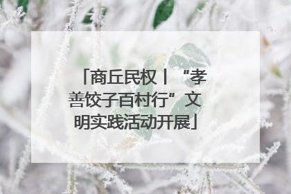 商丘民权丨“孝善饺子百村行”文明实践活动开展