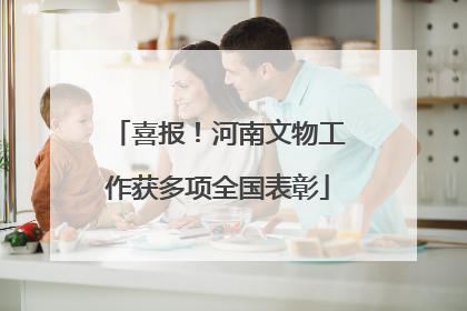 喜报！河南文物工作获多项全国表彰