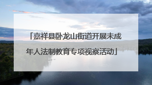 嘉祥县卧龙山街道开展未成年人法制教育专项视察活动
