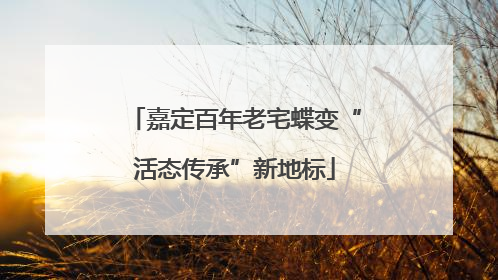 嘉定百年老宅蝶变“活态传承”新地标