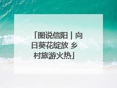 图说信阳｜向日葵花绽放 乡村旅游火热