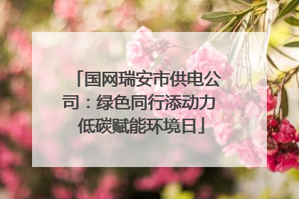 国网瑞安市供电公司：绿色同行添动力 低碳赋能环境日