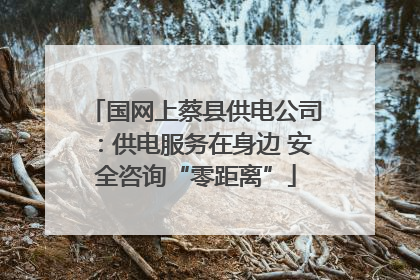 国网上蔡县供电公司：供电服务在身边 安全咨询“零距离”