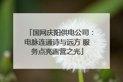 国网庆阳供电公司：电脉连通诗与远方 服务点亮露营之光