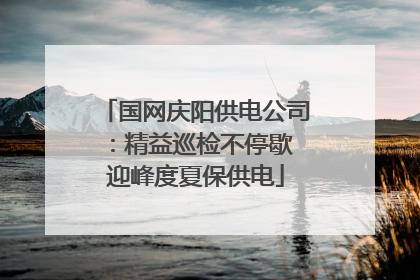国网庆阳供电公司：精益巡检不停歇 迎峰度夏保供电