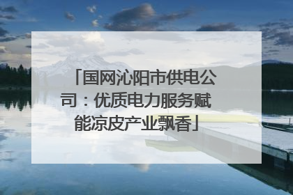 国网沁阳市供电公司：优质电力服务赋能凉皮产业飘香