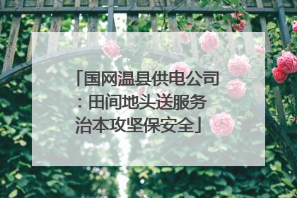 国网温县供电公司：田间地头送服务 治本攻坚保安全