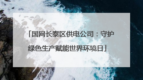 国网长泰区供电公司：守护绿色生产赋能世界环境日