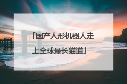 国产人形机器人走上全球最长猫道