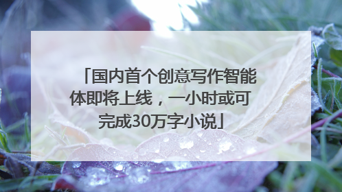 国内首个创意写作智能体即将上线，一小时或可完成30万字小说