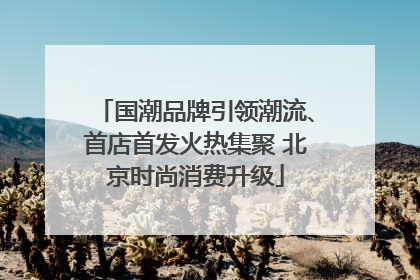 国潮品牌引领潮流、首店首发火热集聚 北京时尚消费升级