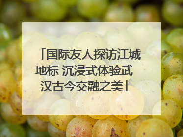 国际友人探访江城地标 沉浸式体验武汉古今交融之美