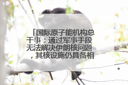 国际原子能机构总干事：通过军事手段无法解决伊朗核问题，其核设施仍具备相关产能，只需要数月就能生产出浓缩铀