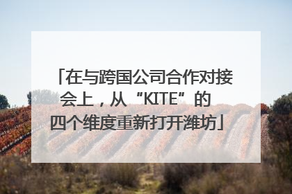 在与跨国公司合作对接会上，从“KITE”的四个维度重新打开潍坊
