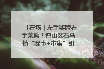 在场｜左手奖牌右手菜篮！博山区石马镇“赛事+市集”引燃周末经济
