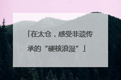 在太仓，感受非遗传承的“硬核浪漫”
