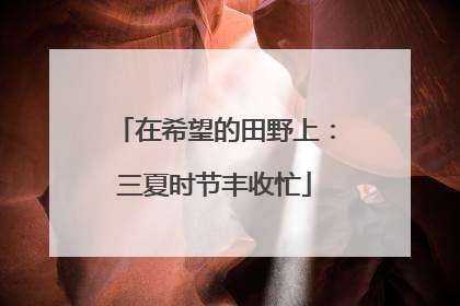 在希望的田野上：三夏时节丰收忙