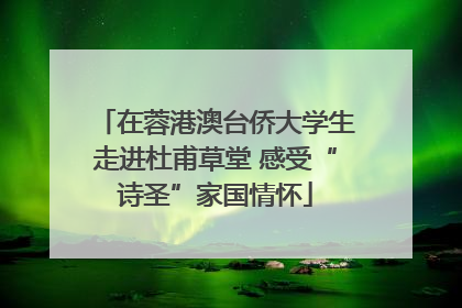 在蓉港澳台侨大学生走进杜甫草堂 感受“诗圣”家国情怀