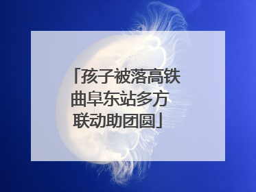 孩子被落高铁 曲阜东站多方联动助团圆