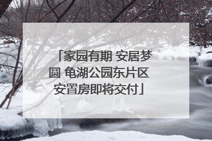 家园有期 安居梦圆 龟湖公园东片区安置房即将交付