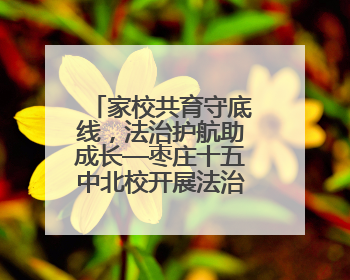 家校共育守底线，法治护航助成长—枣庄十五中北校开展法治报告会