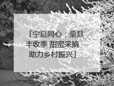 宁夏同心：桑葚丰收季 甜蜜采摘助力乡村振兴