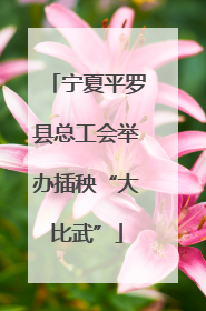 宁夏平罗县总工会举办插秧“大比武”