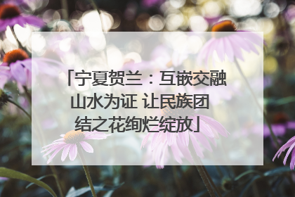 宁夏贺兰：互嵌交融 山水为证 让民族团结之花绚烂绽放