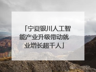宁夏银川人工智能产业升级带动就业增长超千人