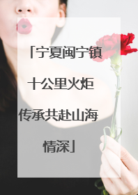 宁夏闽宁镇 十公里火炬传承共赴山海情深