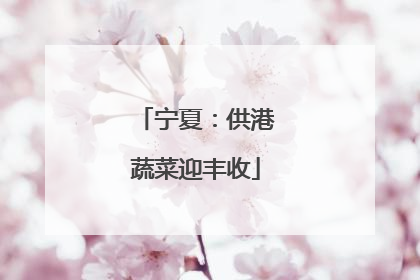 宁夏：供港蔬菜迎丰收